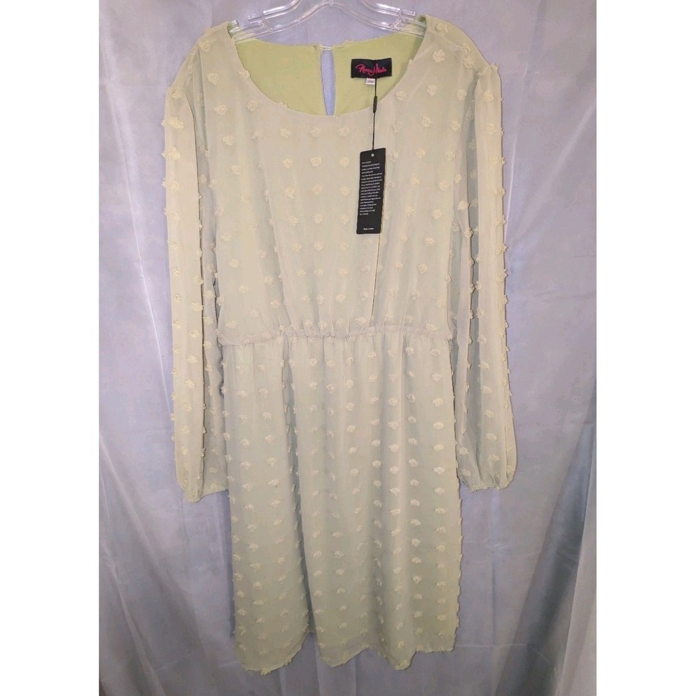 NWT Hanna Nicole Dress With‎ Sheer Long Sleeves Size 20W Light Green Mature